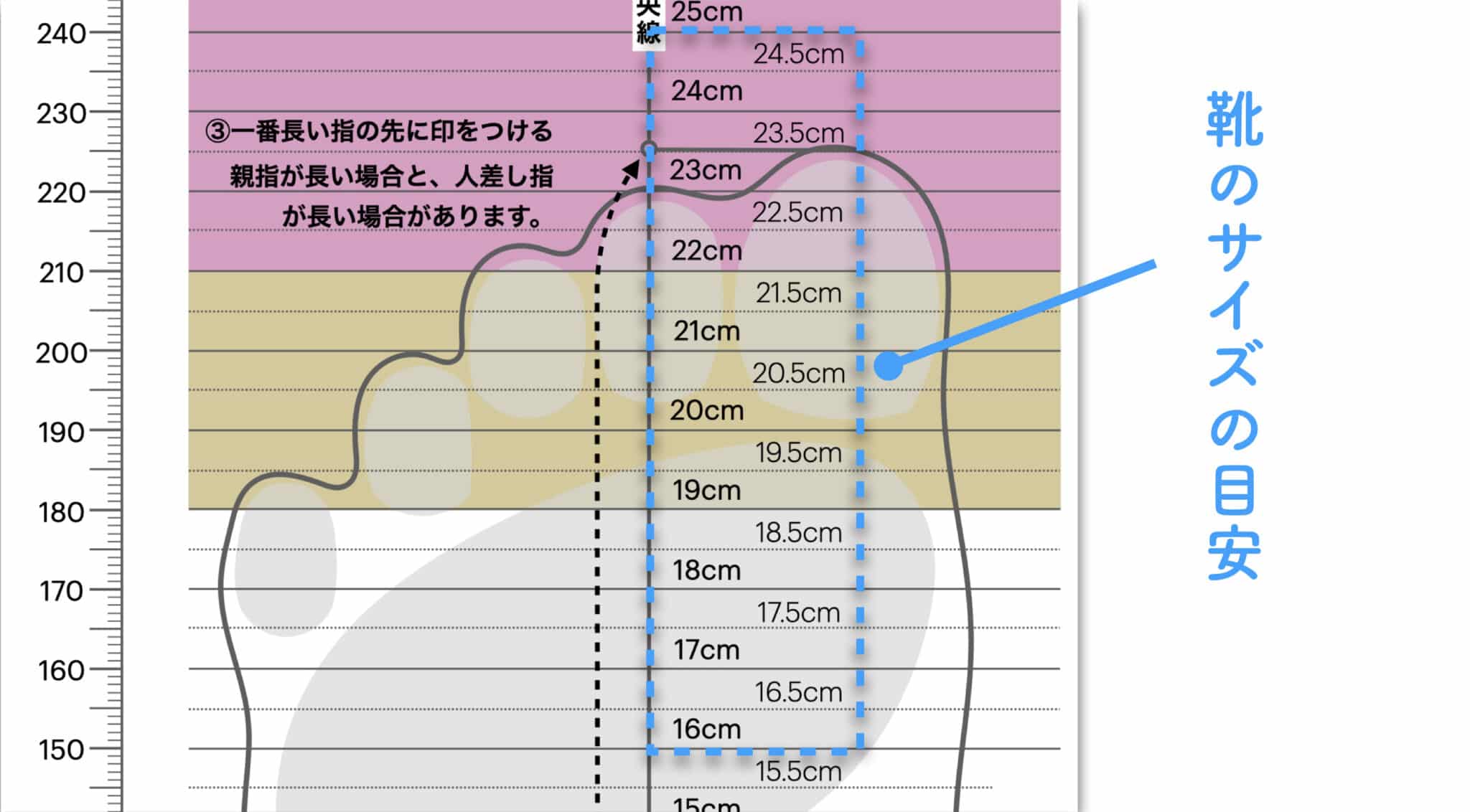 足のサイズを正しく知る｜計測シート無料ダウンロード 
