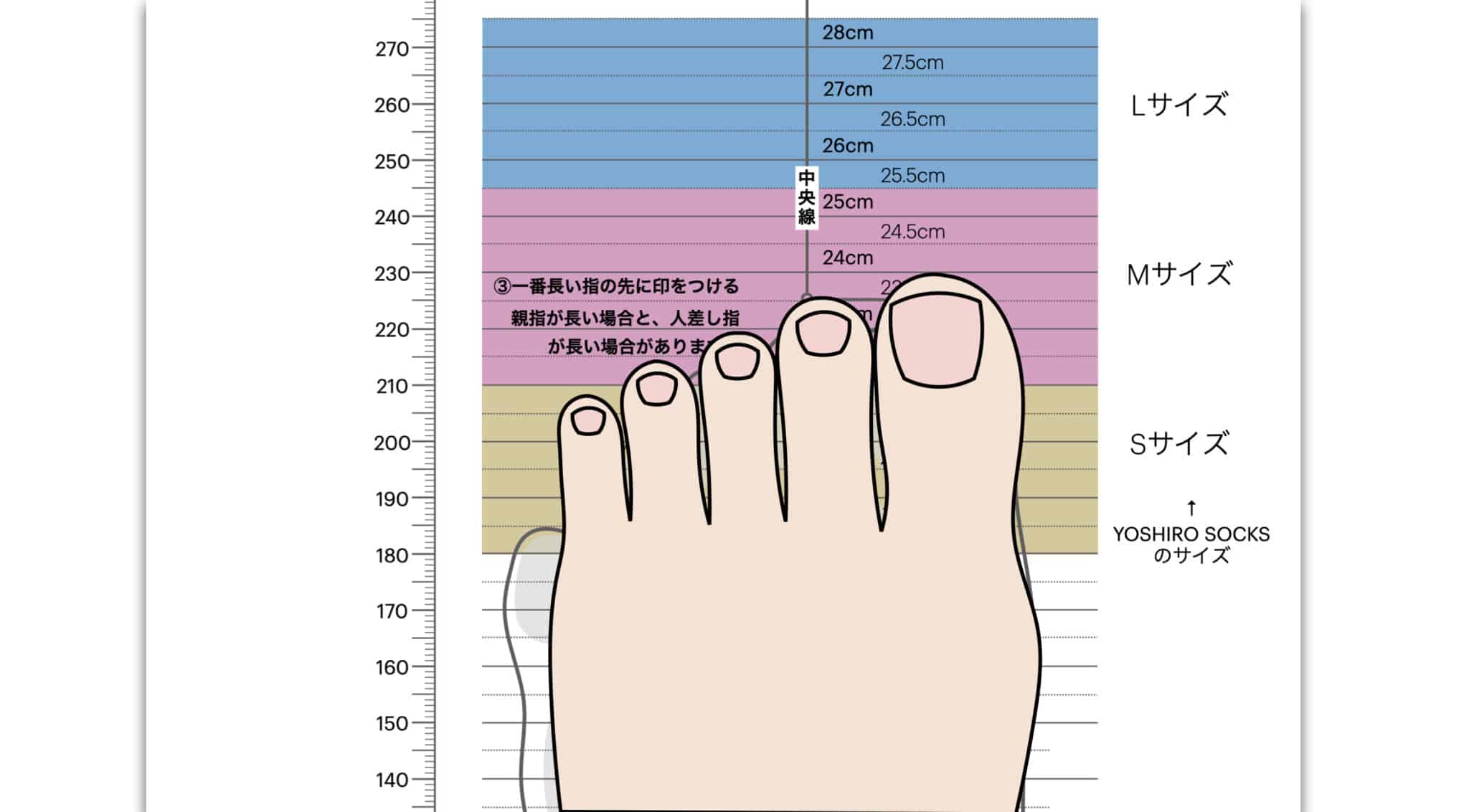 足のサイズを正しく知る｜計測シート無料ダウンロード